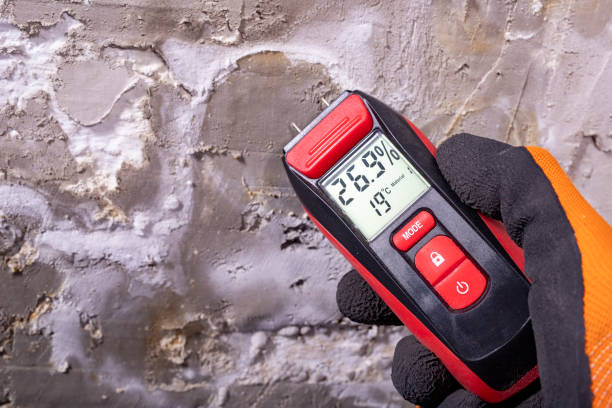 Attic Mold Removal in Roslyn Estates, NY