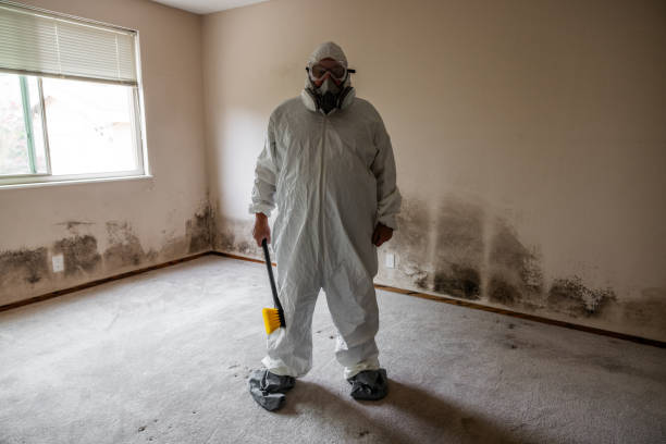 Best Mold Removal Specialists  in Roslyn Estates, NY